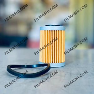 C0061 filtre à huile – filmashi